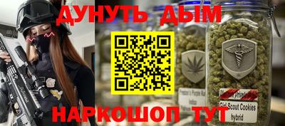 сатива Кандалакша