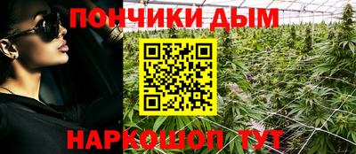 сатива Кандалакша