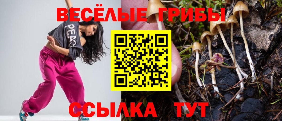 Галлюциногенные грибы MAGIC MUSHROOMS Арзамас