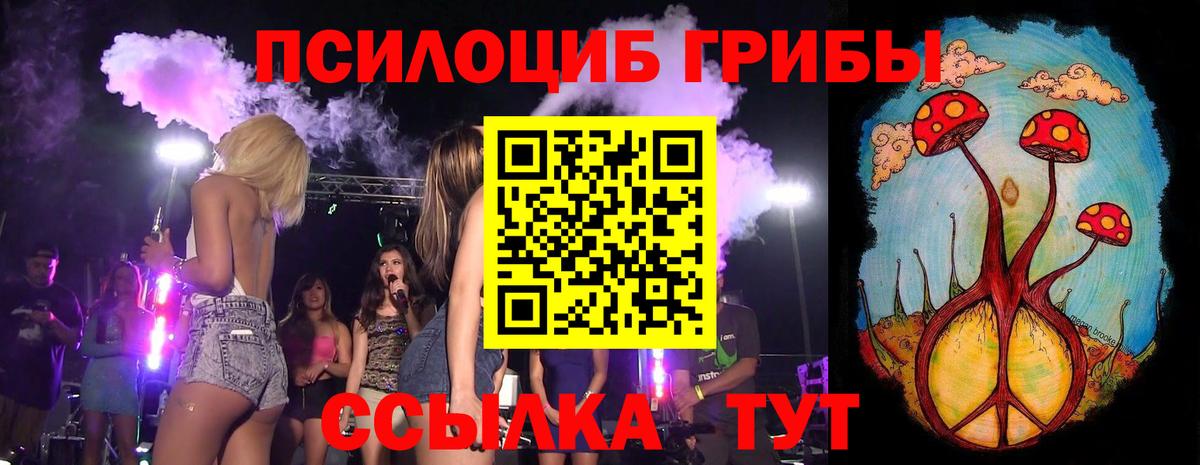 Галлюциногенные грибы Psilocybine cubensis  купить наркотик  Арзамас  Вход с VPN 